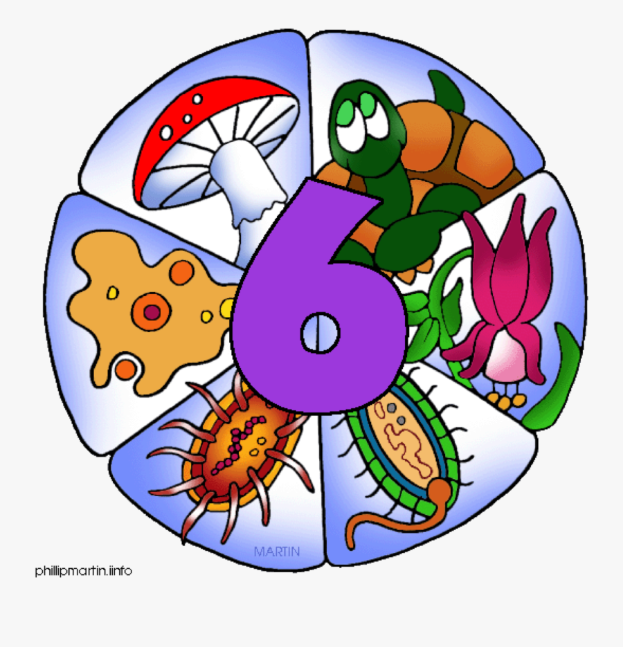 Popsicle Clipart Six - Six Kingdoms, Transparent Clipart