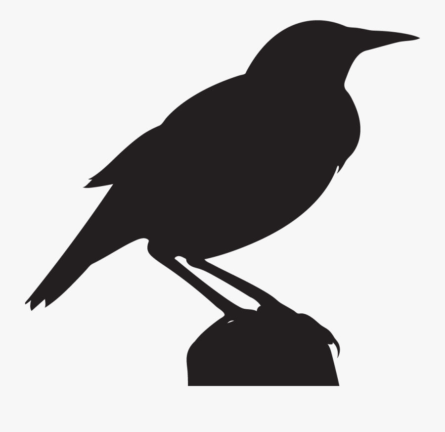 Clip Art Nebraska State Bird - Meadowlark Silhouette, Transparent Clipart