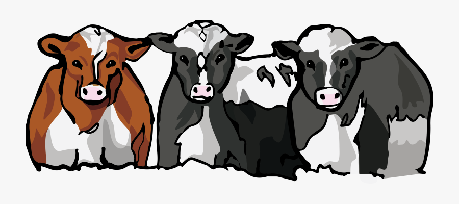I Spy Key Nebraska - Dairy Cow, Transparent Clipart