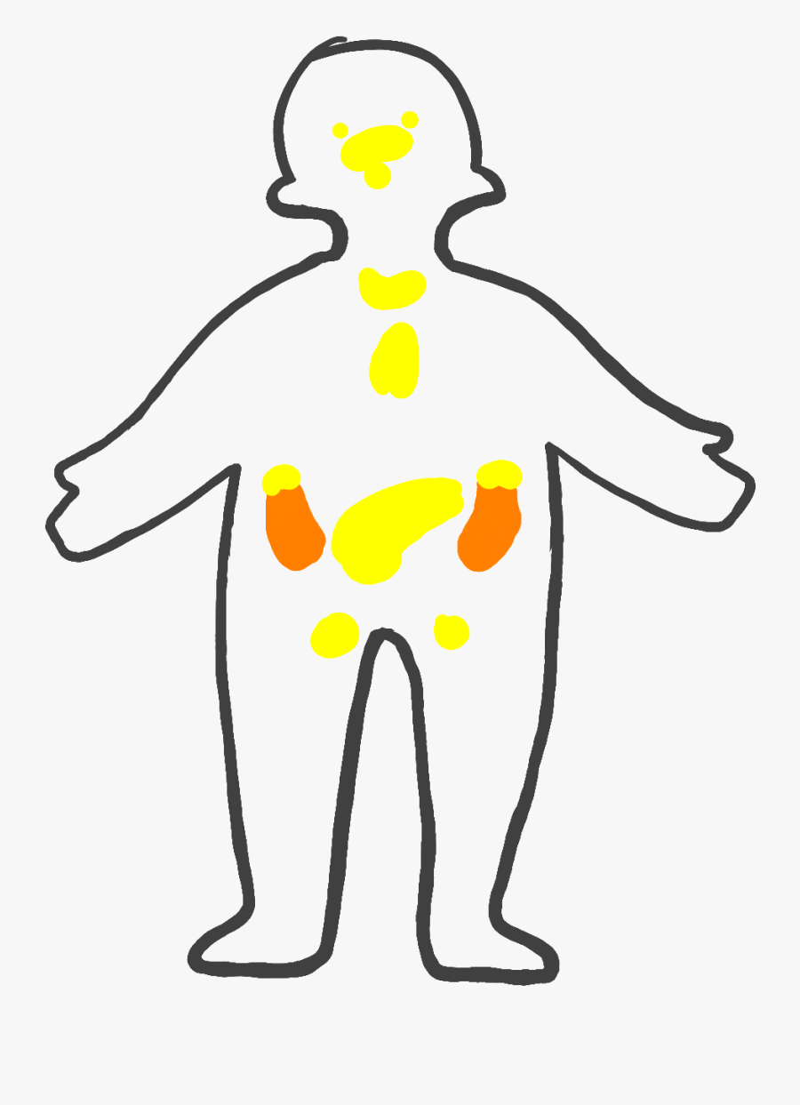 Cartoon Clipart , Png Download - Cute Drawing Of Digestive System, Transparent Clipart