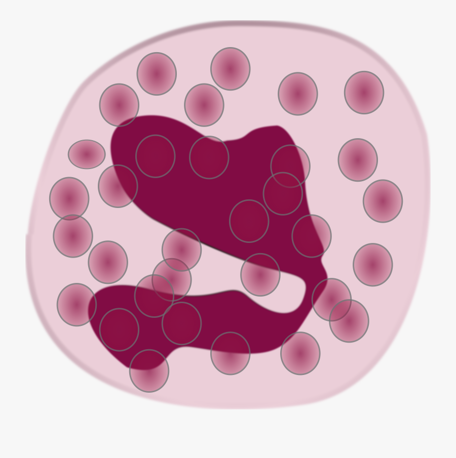 Eosinophil - Eosinophil Clipart, Transparent Clipart