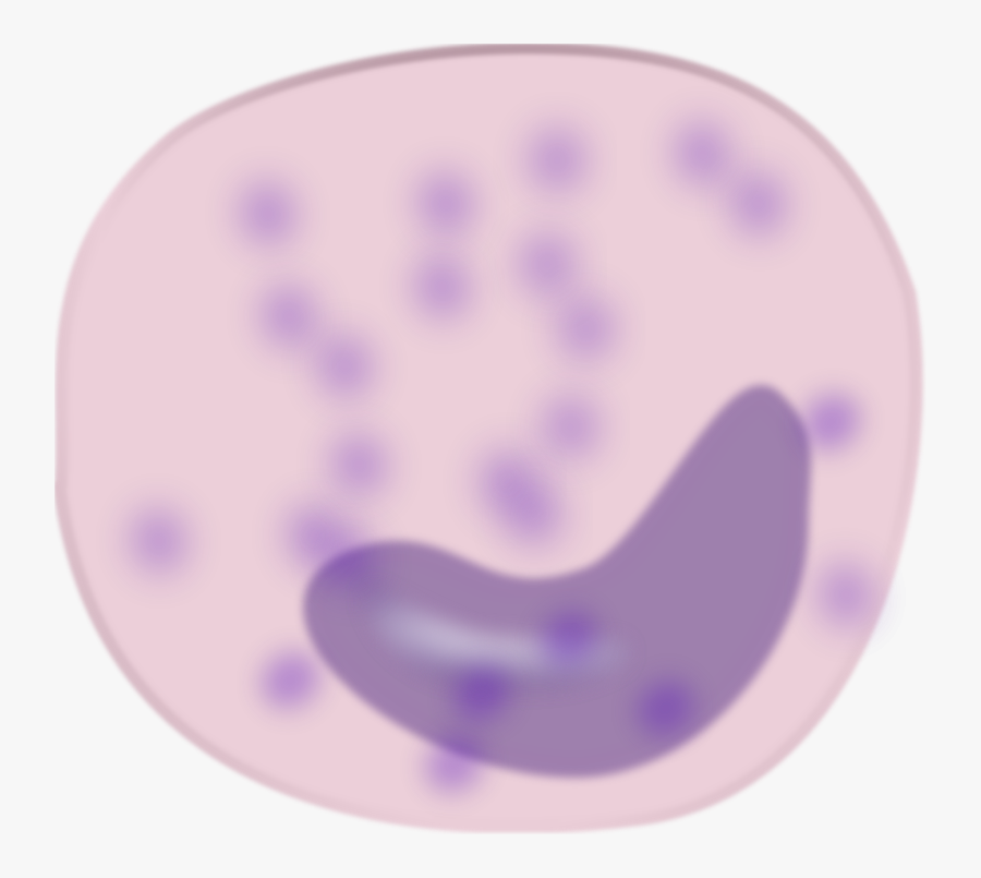 Immune System Clip Art Download - Monocyte Clipart, Transparent Clipart