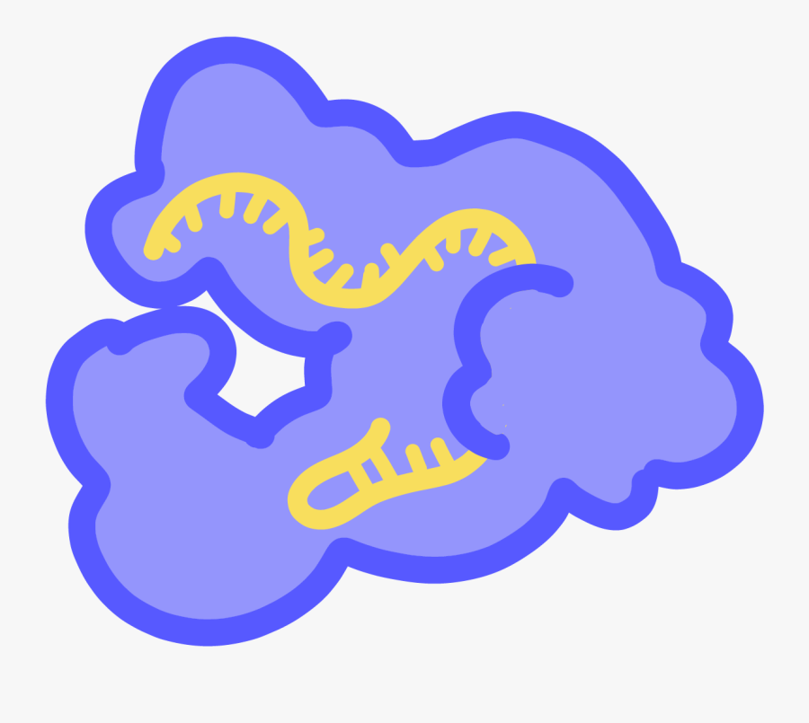 Crispr Cas Bacterial Immune System That Has Been Co, Transparent Clipart