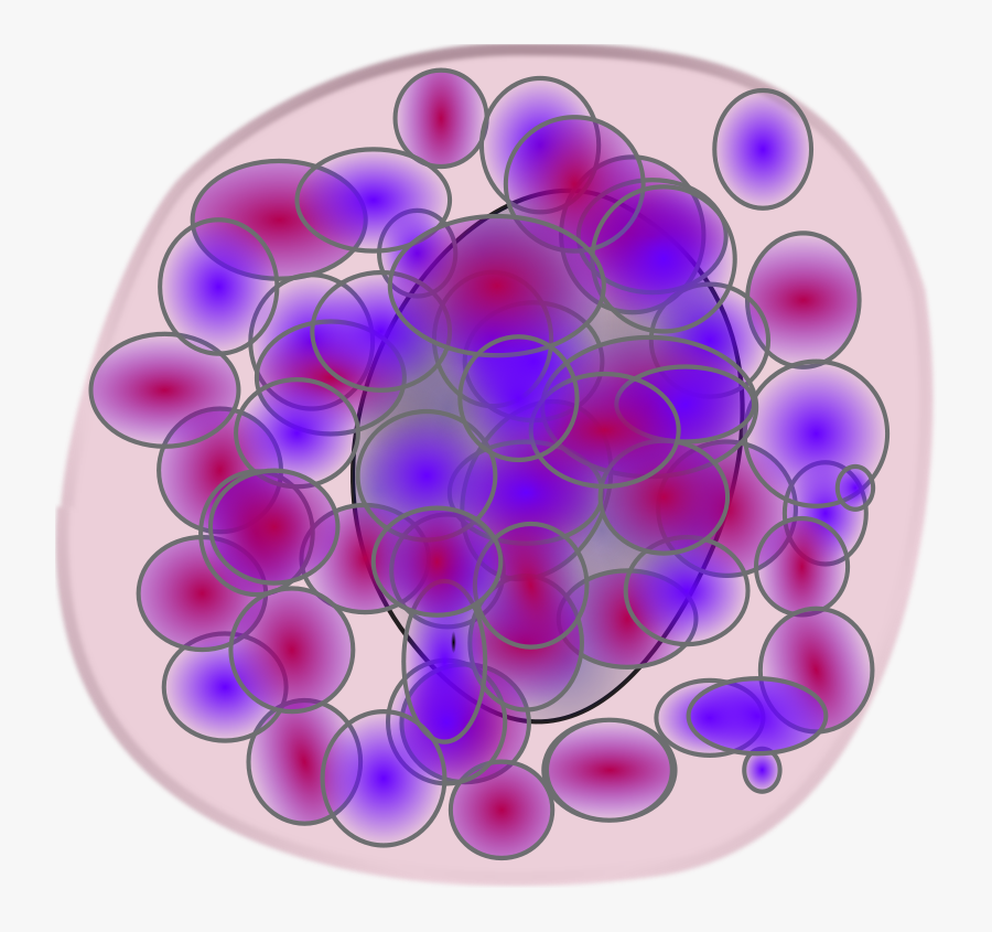 Basophil - Basófilo Png, Transparent Clipart