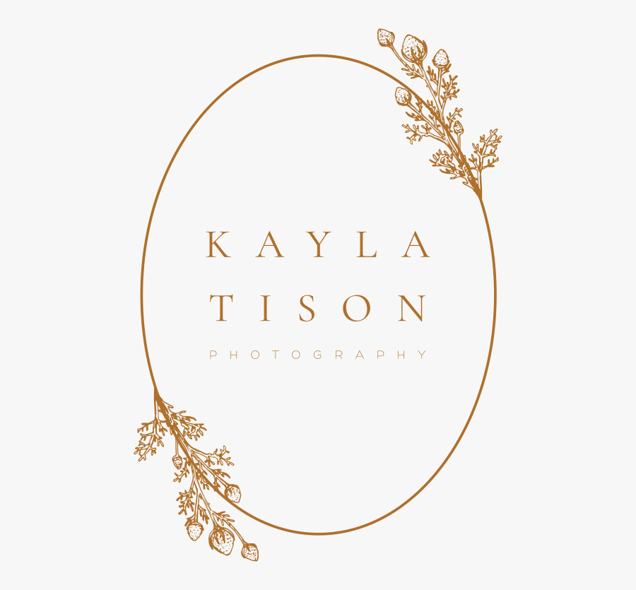 Circle, Transparent Clipart