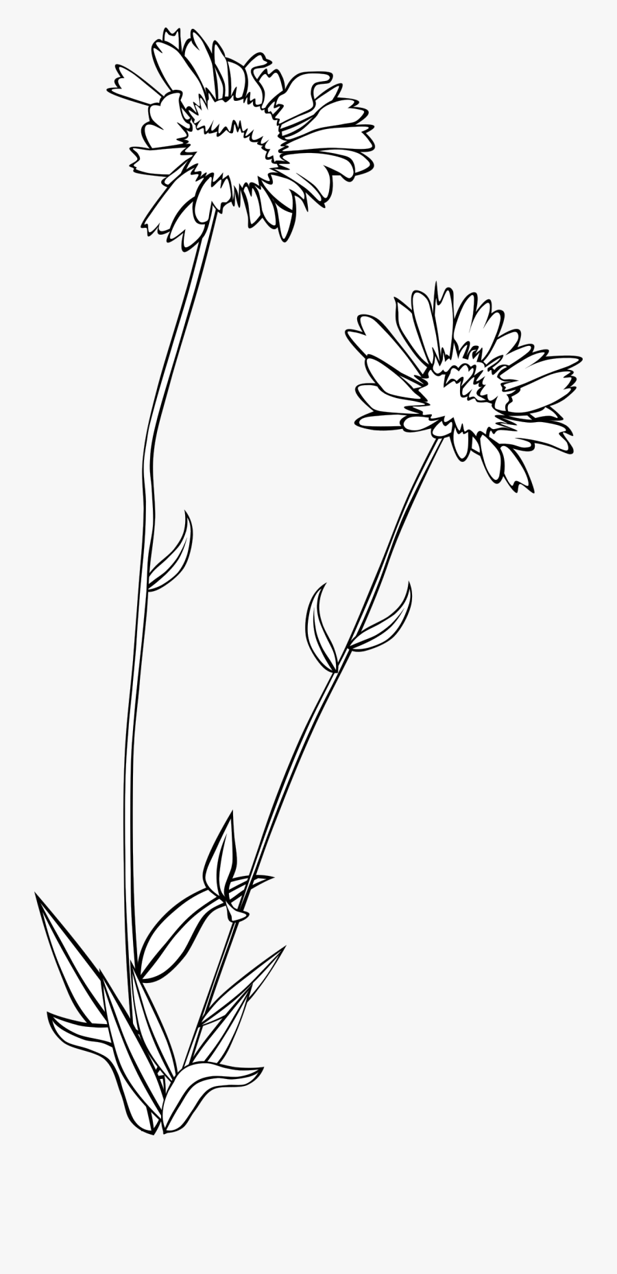 Wildflower Clipart Black And White, Transparent Clipart