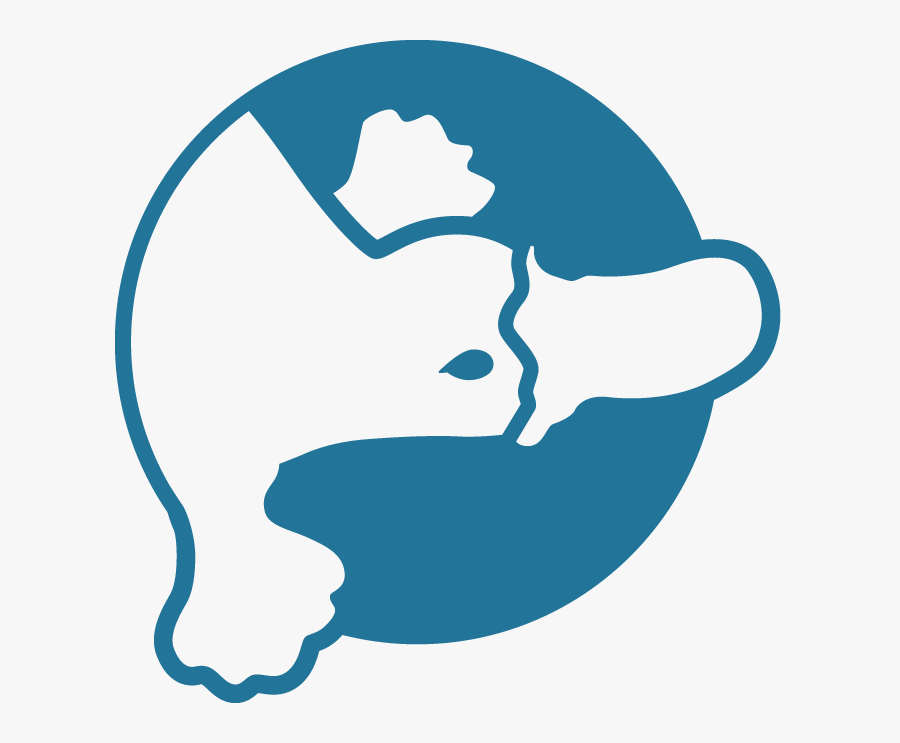 Platypus Png White, Transparent Clipart