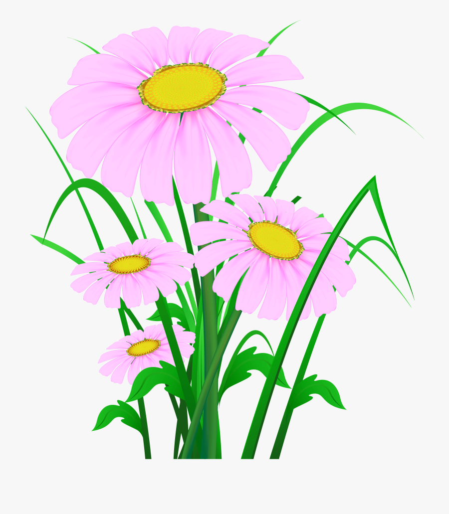 Transparent Wildflowers Clipart - Пнг Цветя, Transparent Clipart
