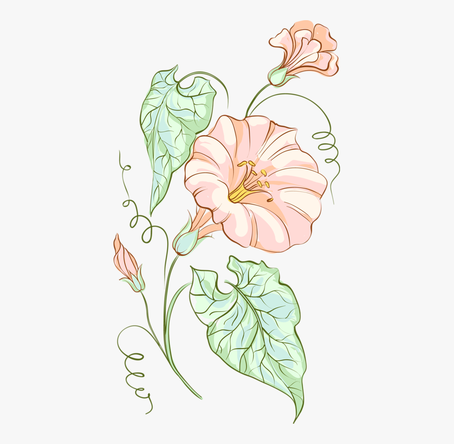 Illustration, Transparent Clipart