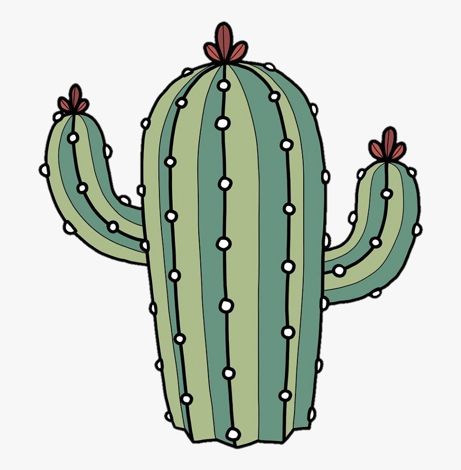 Cactus Tumblr Beautiful Plant Green Flower - Cactus Png, Transparent Clipart