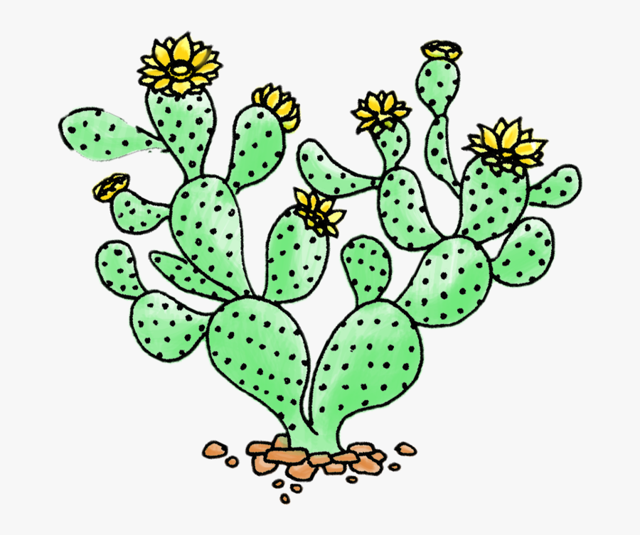 Cactus, Transparent Clipart