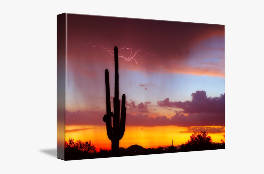 Clip Art Lightning Saguaro Sunset By - Hedgehog Cactus, Transparent Clipart