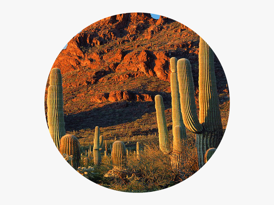 Zack Richards Conservation - Circle, Transparent Clipart