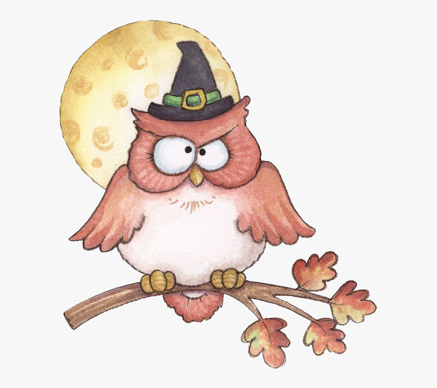 Owl, Transparent Clipart