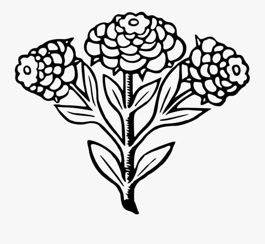 Line Art,plant,flora - Line Art, Transparent Clipart
