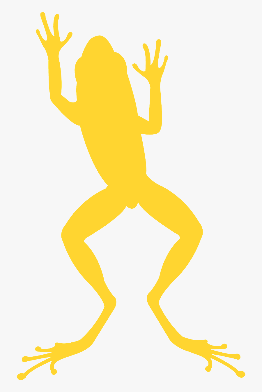 True Frog, Transparent Clipart