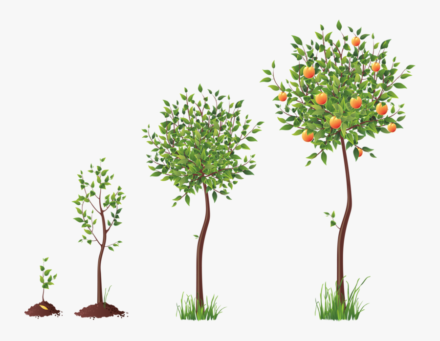 Tubes Arbres Arbustes Feuillages - If You Know Me Based, Transparent Clipart