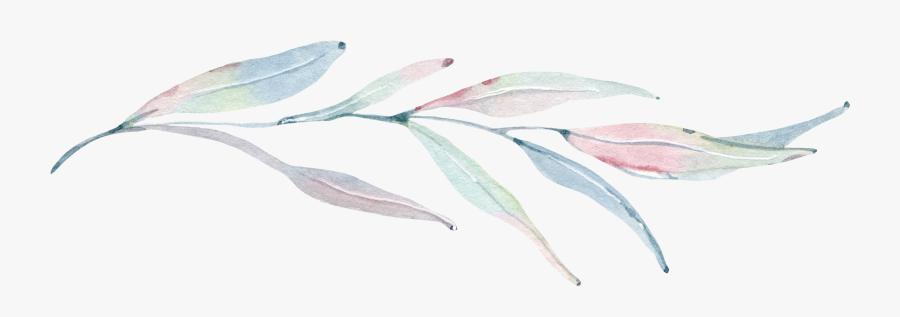 Transparent Free Save The Date Clipart - Beloniformes, Transparent Clipart