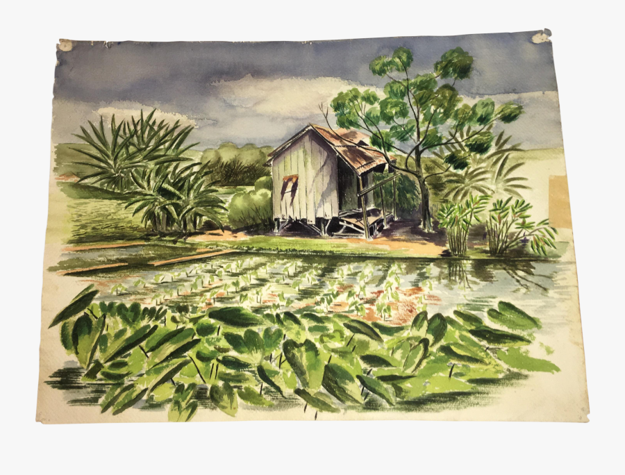 Clip Art Hawaii Watercolor - Painting, Transparent Clipart