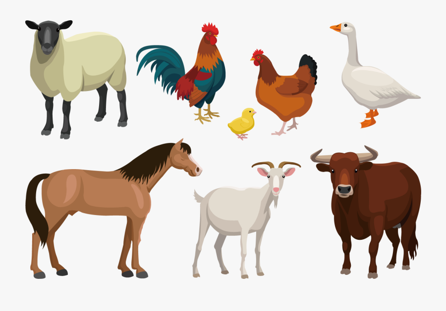 Sheep Clipart Domestic Animal - Farm Animals Vector Png, Transparent Clipart