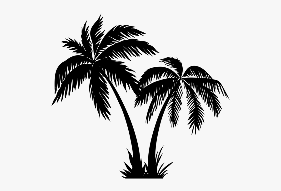 Drawn Palm Tree Anime - Silhouette Coconut Tree Png, Transparent Clipart
