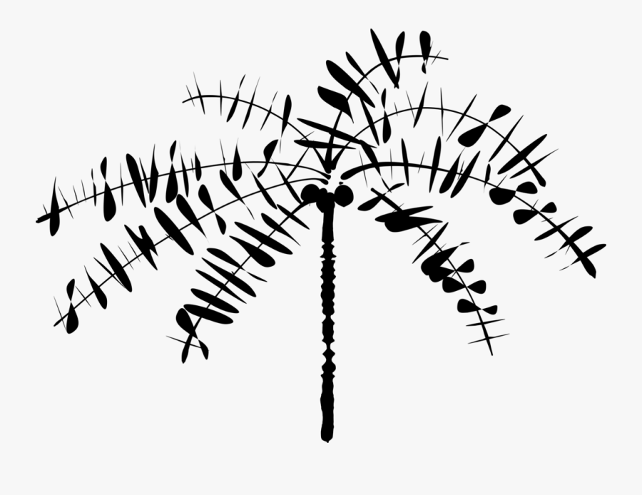 Visual Arts,plant,calligraphy - Coconut Tree Clip Art, Transparent Clipart