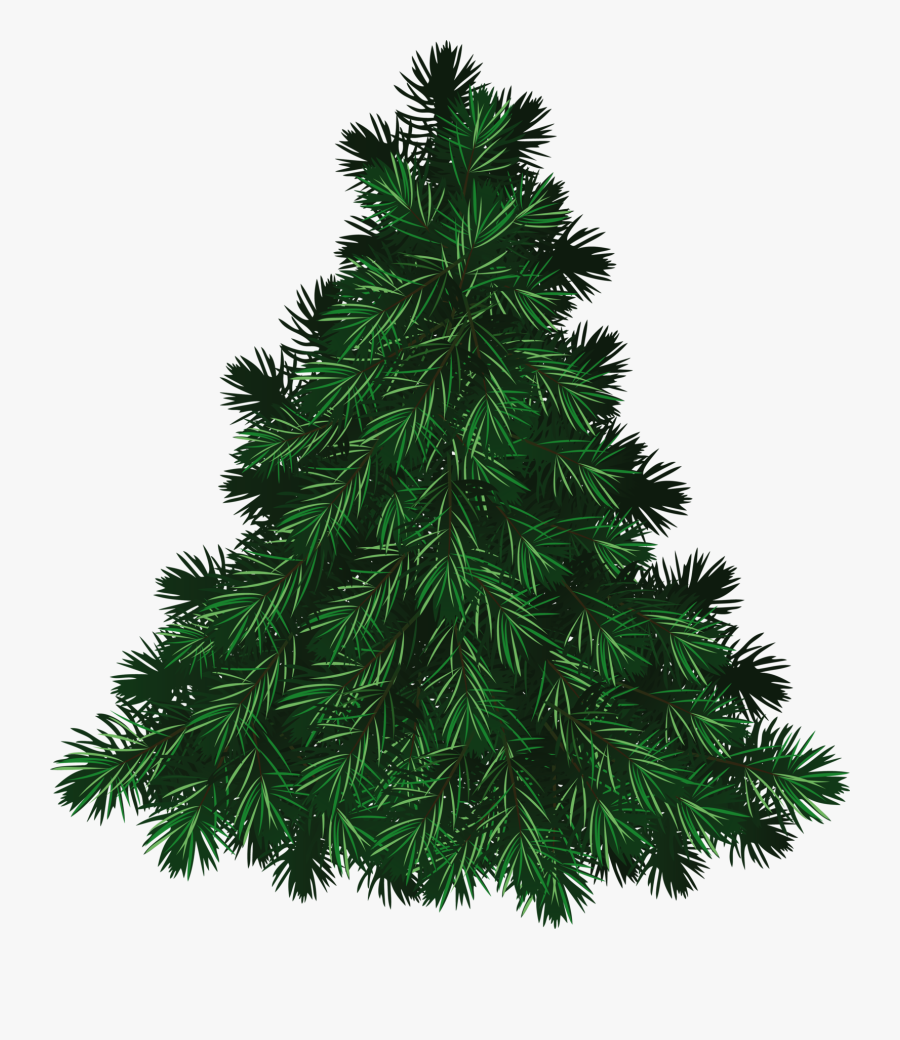 Transparent Spruce Tree Clipart - Christmas Tree Decorations Png, Transparent Clipart