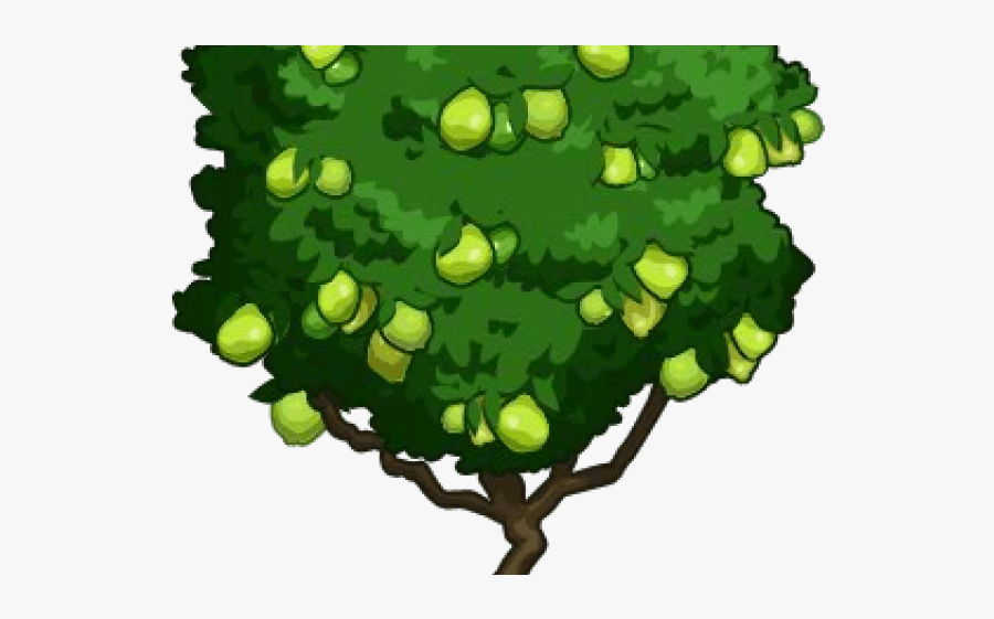 Guava Fruit Tree Clipart, Transparent Clipart