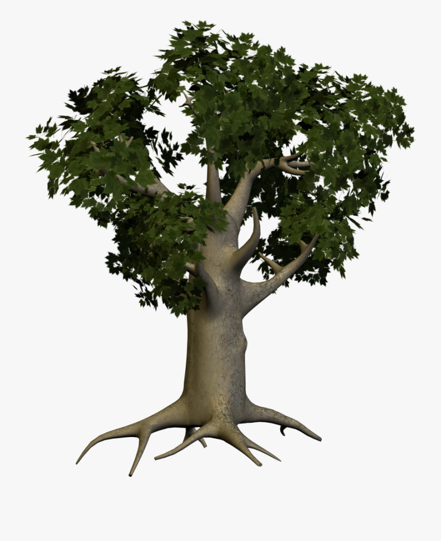 Vector Clipart Psd Peoplepng - Big Tree Png, Transparent Clipart