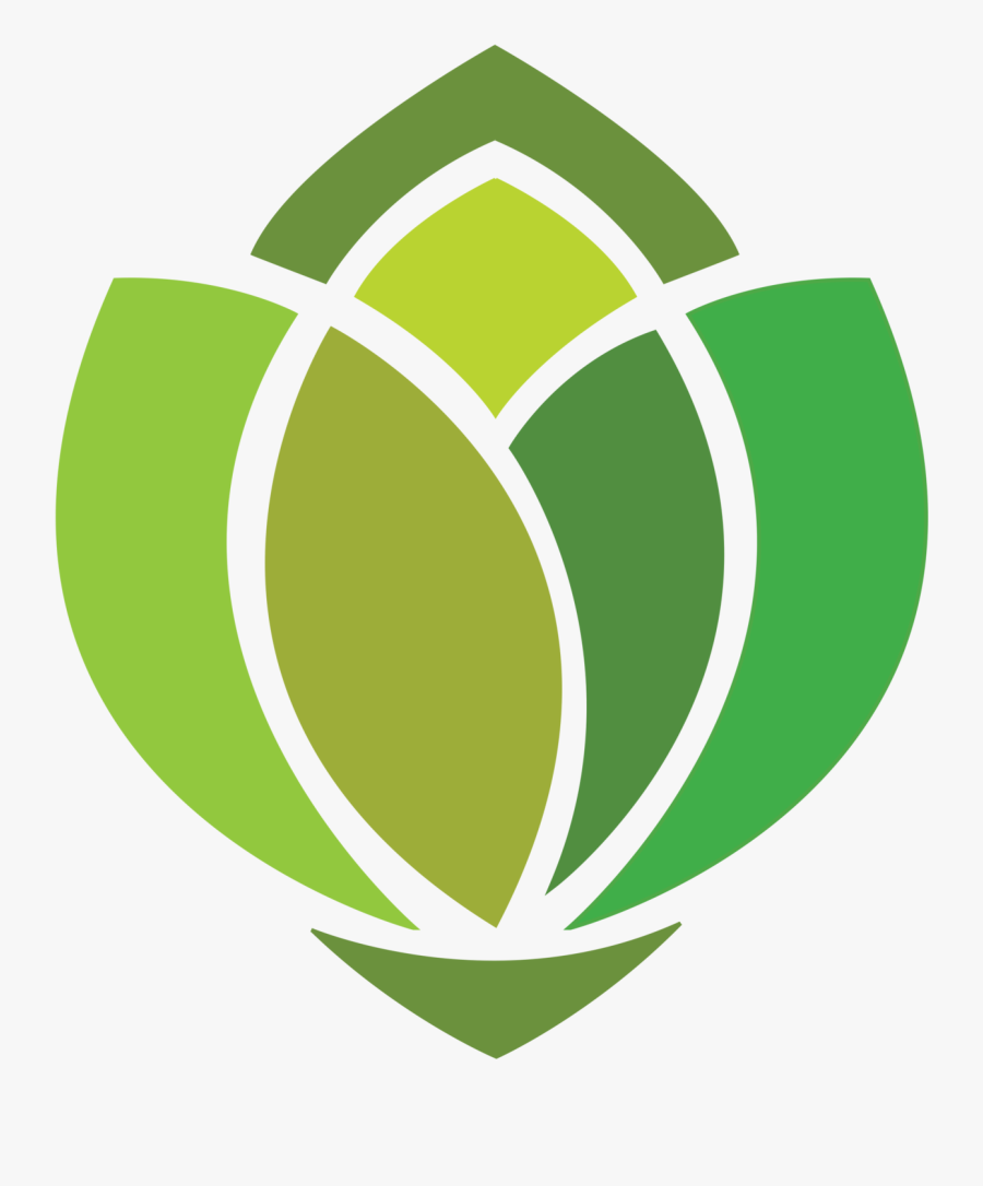 Christmas Trees Landscape Renovations - Leaf Vector Logo Png, Transparent Clipart