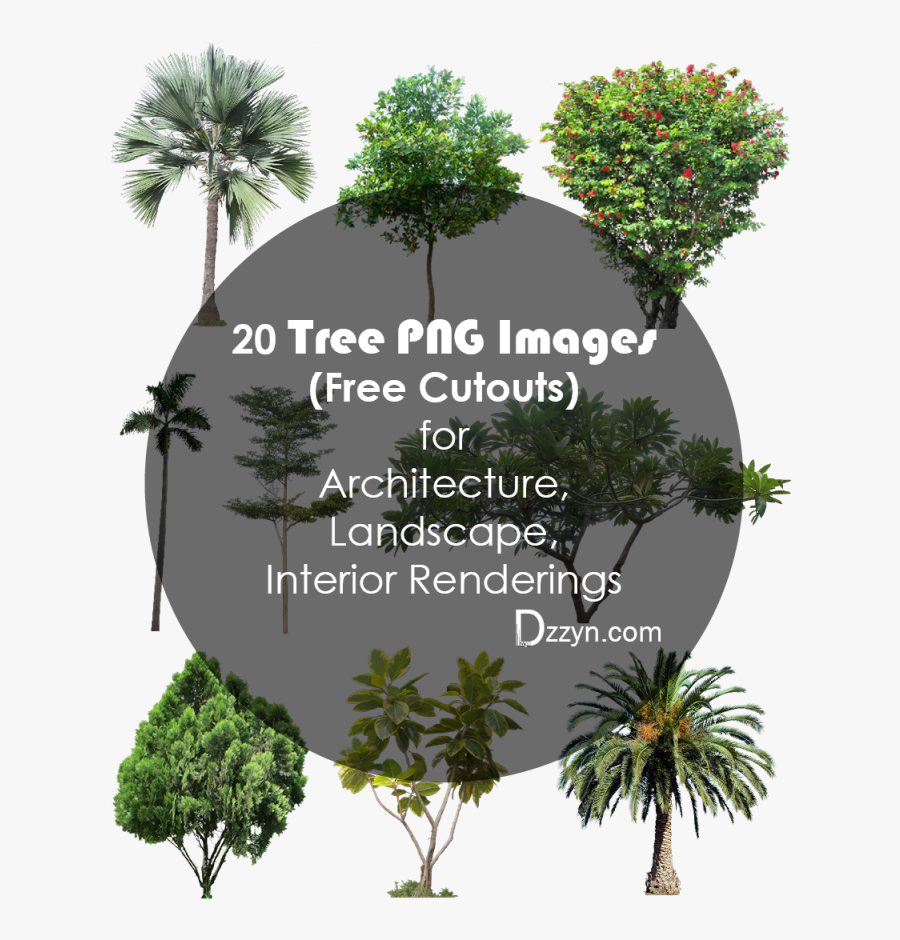 20 Tree Png Images For Architecture, Landscape, Interior - High Resolution Tree Png, Transparent Clipart