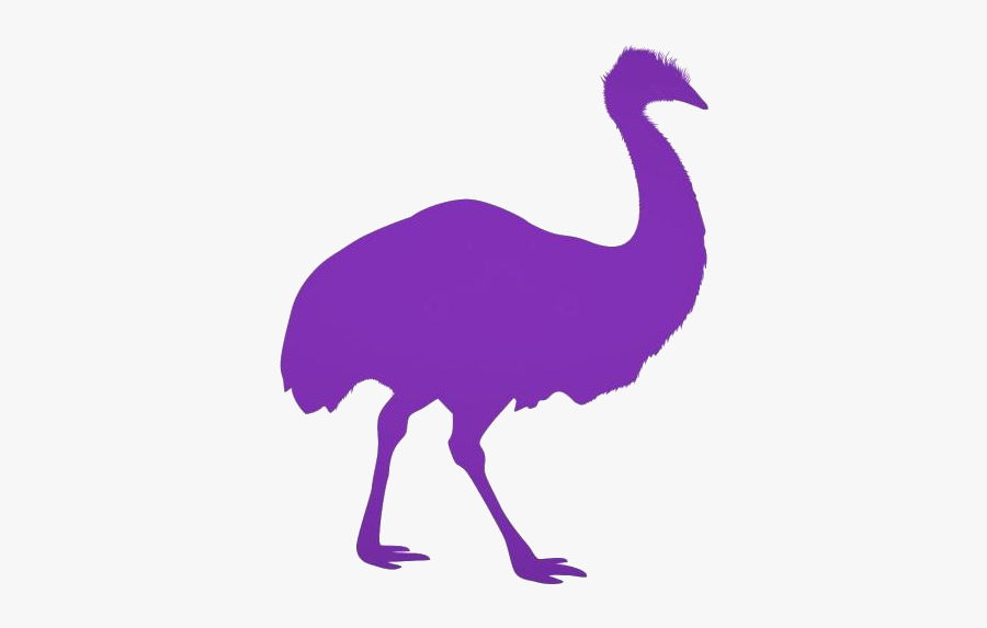 Transparent Emu Clipart, Emu Png Image - Emu Cartoon Png, Transparent Clipart