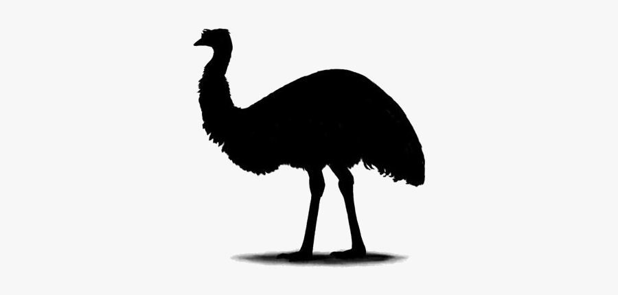 Cartoon Emu Png Transparent Images - Turkey, Transparent Clipart