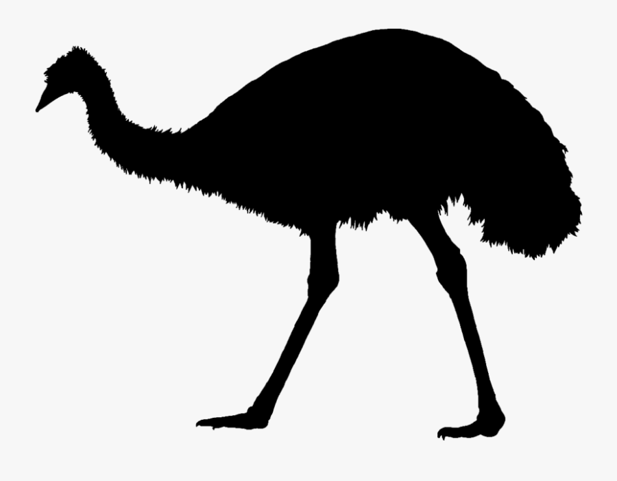 Common Ostrich Emu War Silhouette Bird - Emu, Transparent Clipart