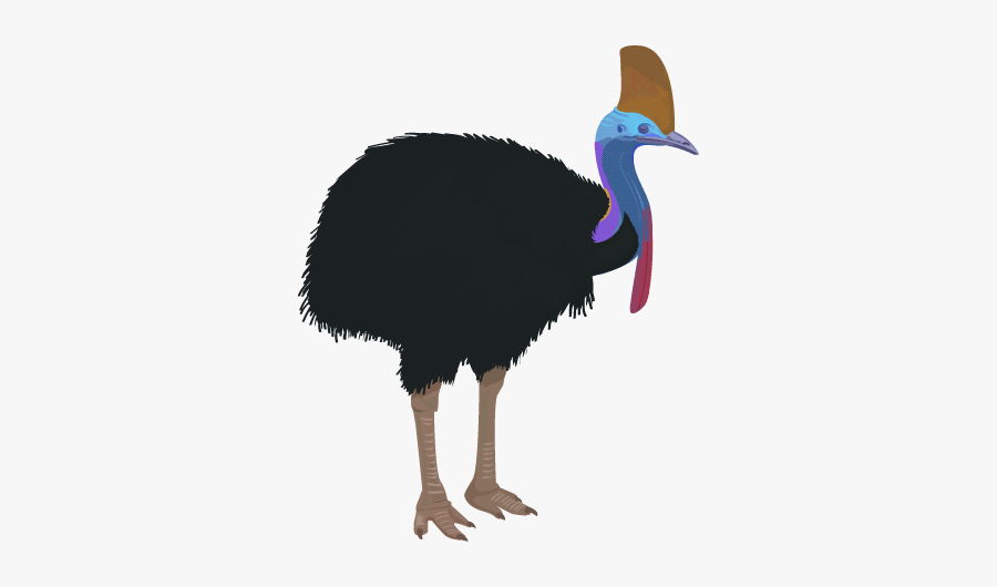 Weekly Bird - Cassowary Clipart, Transparent Clipart