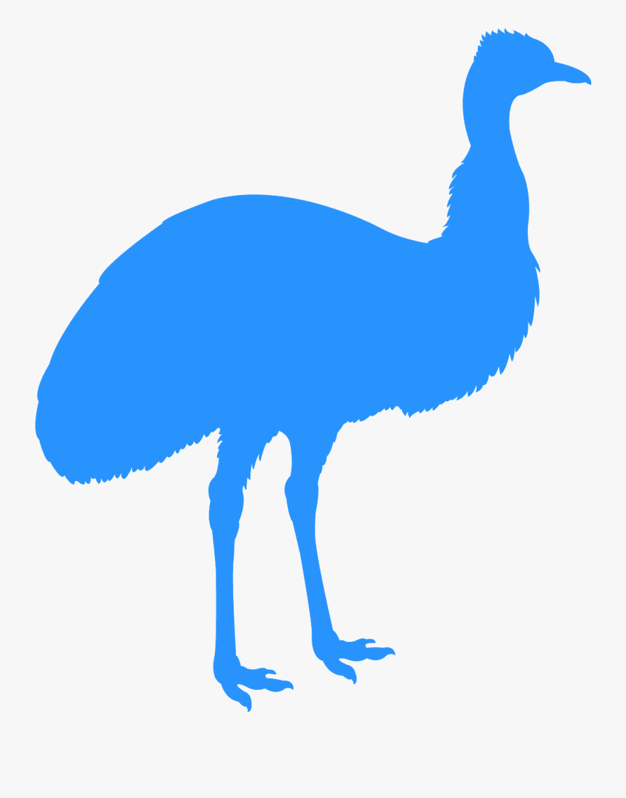 Black Emu, Transparent Clipart