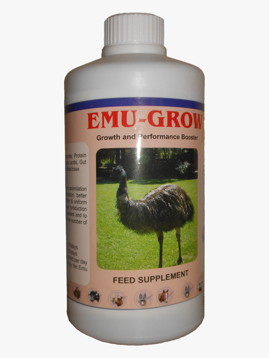 Transparent Emu Png - Emu, Transparent Clipart