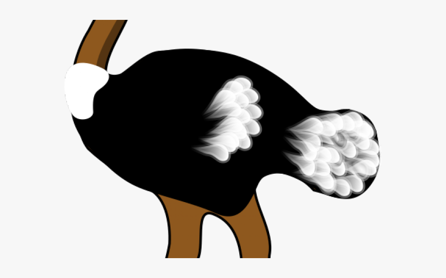 Ostrich Clipart Black And White, Transparent Clipart