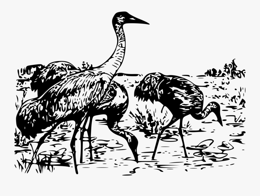 Crane, Transparent Clipart