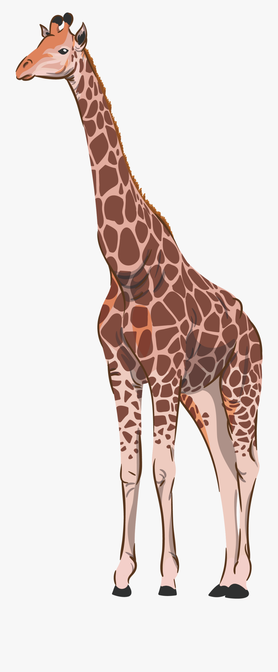 Transparent Ostrich Cliparts - Giraffe, Transparent Clipart