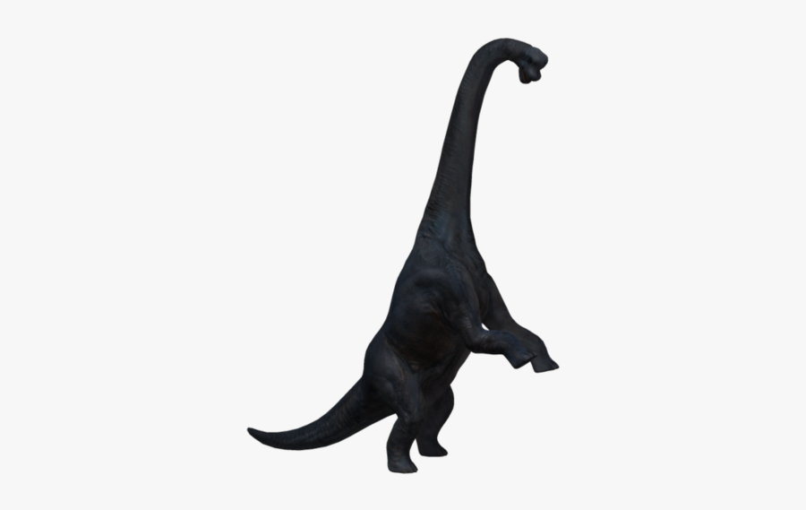 Brachiosaurus, Transparent Clipart