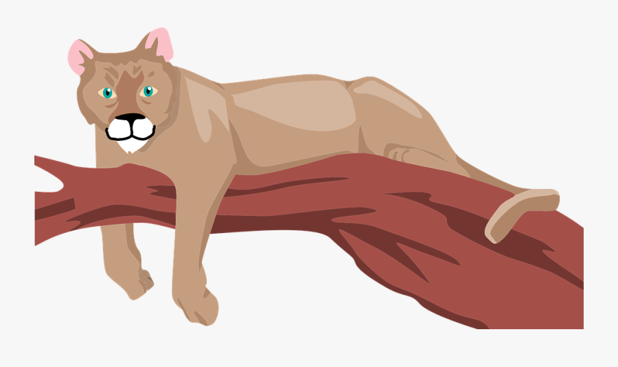 Tree, Branch, Animal, Lounging, Cougar, Lounge - Clipart Cougar, Transparent Clipart