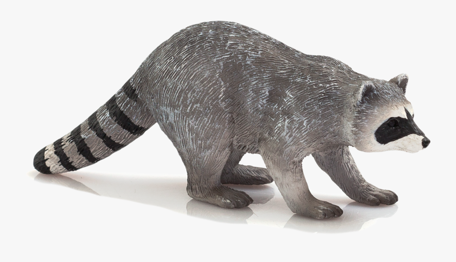 Transparent Raccoon Png - Raccoon Mojo, Transparent Clipart
