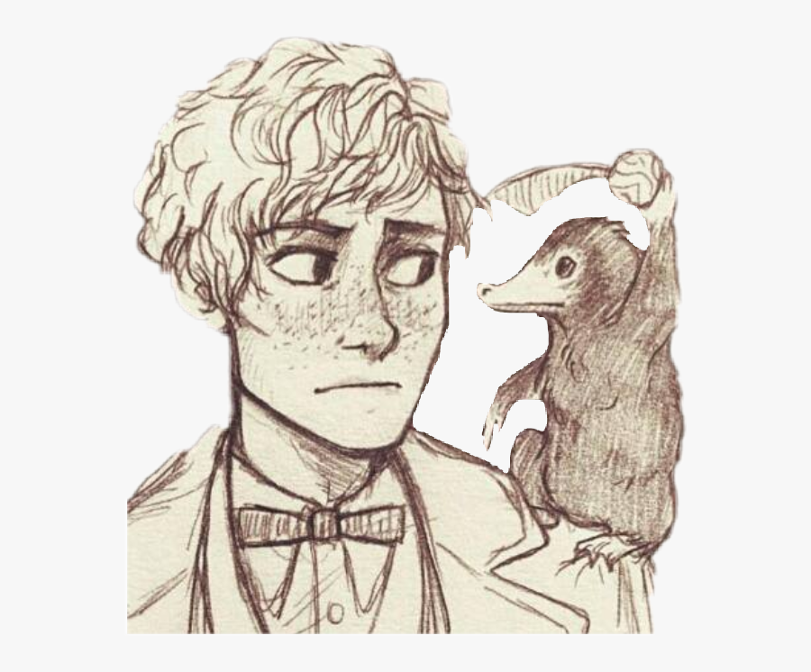 #newt #niffler #snitch #harrypotter #fantasticbeasts - Fantastic Beasts Drawing Easy, Transparent Clipart