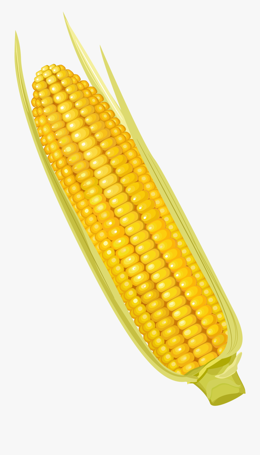 Corn Yellow Clipart Transparent Png - Corn Cob Png, Transparent Clipart