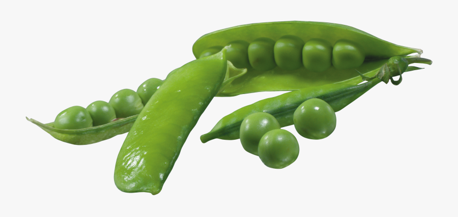 Peas Clipart String Bean - Png Hd Images Of Vegetable, Transparent Clipart
