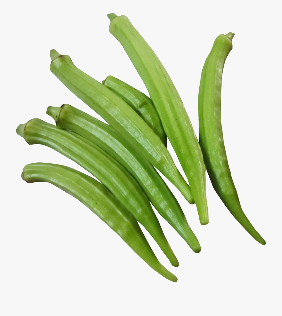 Fresh Okra Png Image - Okra Png, Transparent Clipart