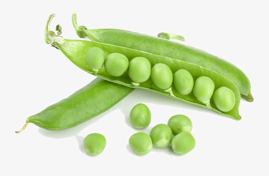 Green Bean Png Photos - Green Beans Beans Png, Transparent Clipart