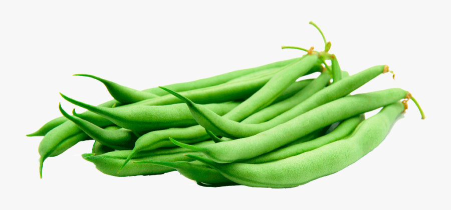 Green Bean Png Pic Background - Green Beans Transparent Background, Transparent Clipart