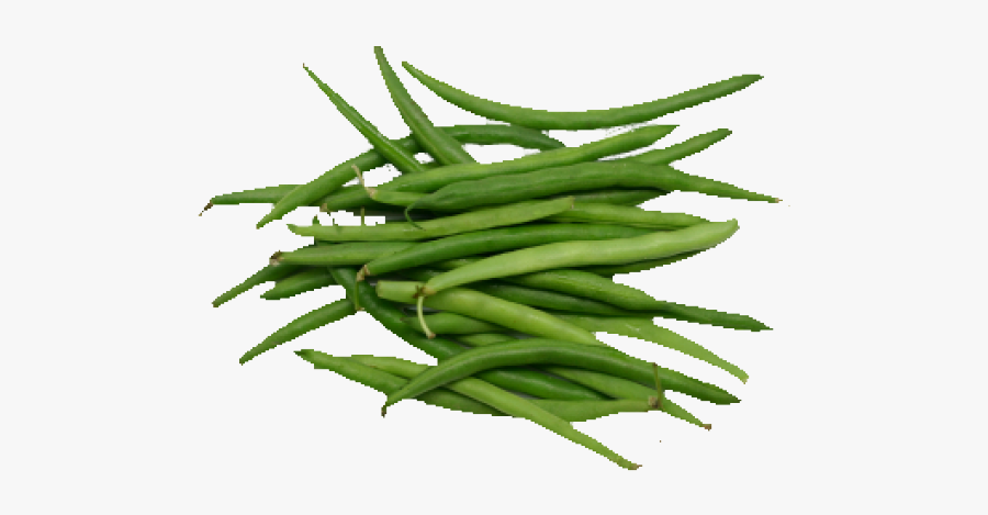 Beans Clipart String Bean - Bean, Transparent Clipart